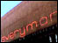 Everyman