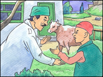 وترنر او ثمرګل