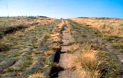 Blackstone Edge Roman road