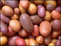 دپټاټوساتل