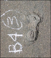 Nalezený otisk lidské nohy