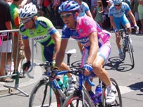 Tour de France cyclists