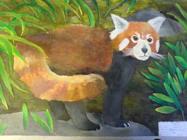 Red panda