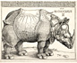 Durer's 'Rhinoceros'