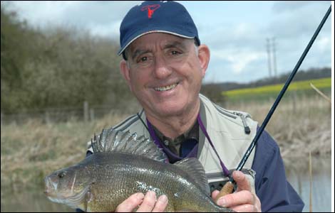martin_with_perch
