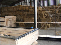 Construction of straw bale walls