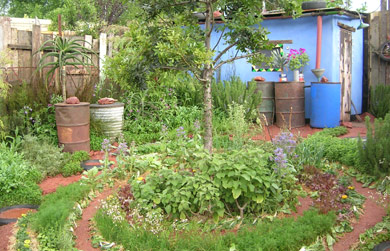 GardenAfrica