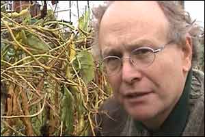 Paul Howgill - Autumn