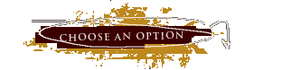 Choose an option: