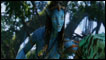 'Avatar'