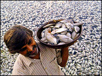  کنکاریہ جھیل