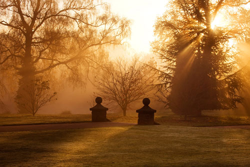 Early morning is the best time to capture dramatic garden scenes like this