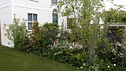 The Overdrawn Artist's Garden