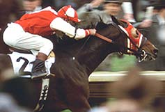 Seabiscuit stars Jeff Bridges, Tobey Maguire and Chris Cooper as the team behind the winning racehorse