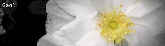 Gaol