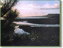 Otterton - estuary at sunset