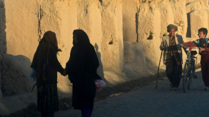 甘肃省部分村庄在路边竖起遮羞墙