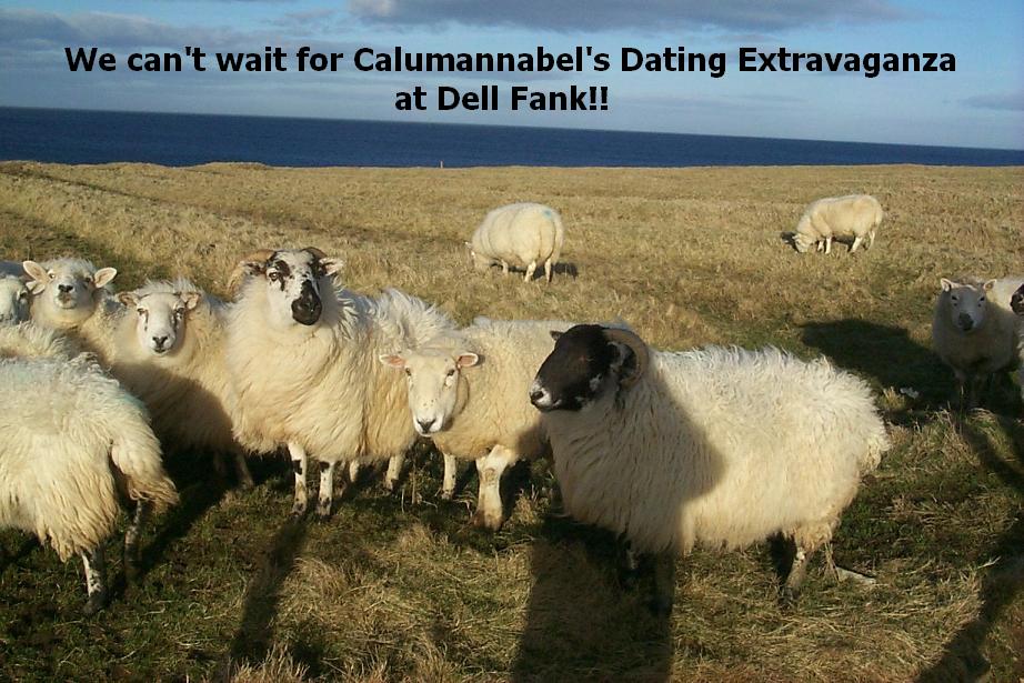 Wee advert for the Extravaganza