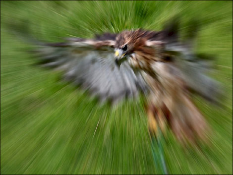 "Death by Artex" by Alan Smith