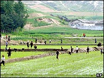 Cánh đồng ở Bắc Hàn