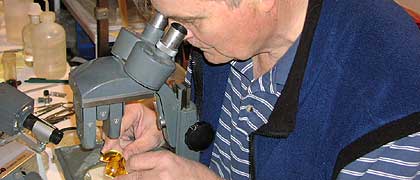 George Poinar examines a piece of amber