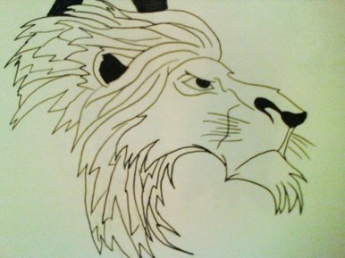 My lion drawing