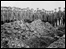 Soldiers at burial site