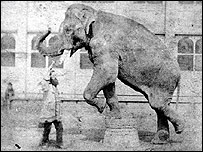 Maharajah the elephant and Lorenzo in 1880