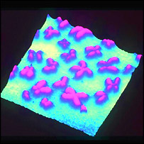 Seqüência dos genes pode ser mais importante que o número 