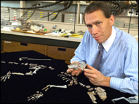 Hans Thewissen mostra o crânio do Indohyus