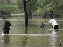 سیل کره شمالی