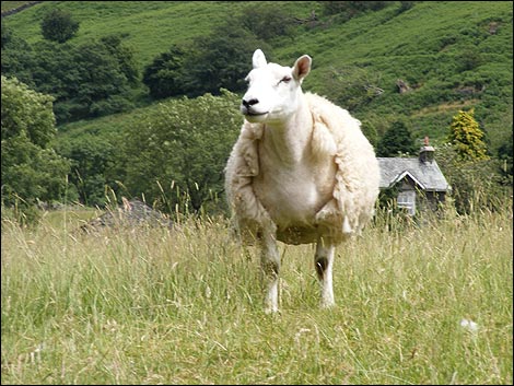 Must take this coat off, its too hot. Dennis Powell, Barrow.