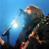 Romeo from The Magic Numbers