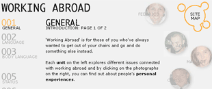 Working Abroad screenshot