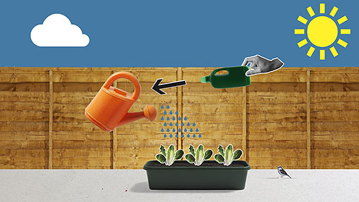 A hand adding liquid feed to a watering can.