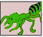 ant