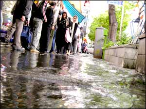 عکس از مسعود فتاحی