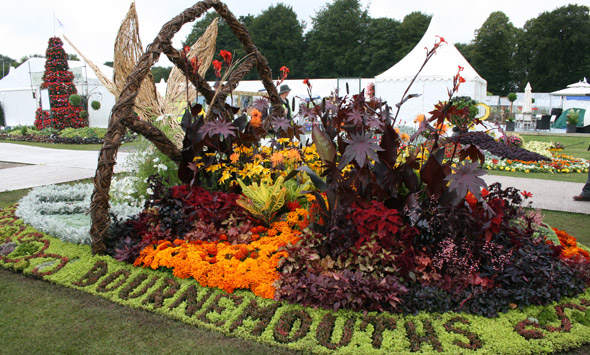 Bournemouth Borough Council Flower Bed at RHS Show Tatton Park