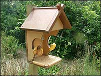Covered bird feeder in the BBC garden