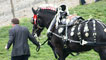 Day 4 - Shire horse decorated with brasses