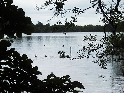 Ellesmere - photographer Gloria Walker