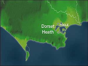 Dorset Heaths map