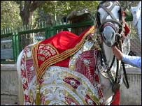 भारत में शादी