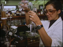 萨塞克斯大学实验室