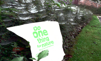 BBC Breathing Places bag in various beautiful and unusual locations across Northern Ireland.