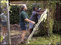 Funcionários do zôo consertam jaula quebrada por Burma