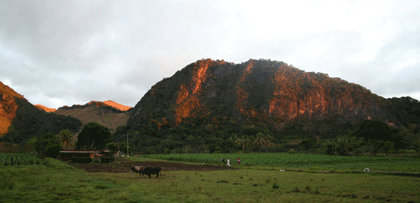 blogpic0852.gif