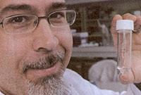 Yr Athro Karl Hoffmann