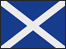 Saltire flag