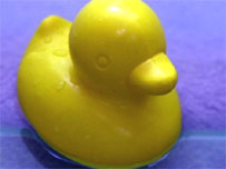 Rubber duck